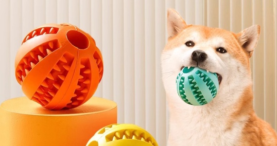 Pet supplies